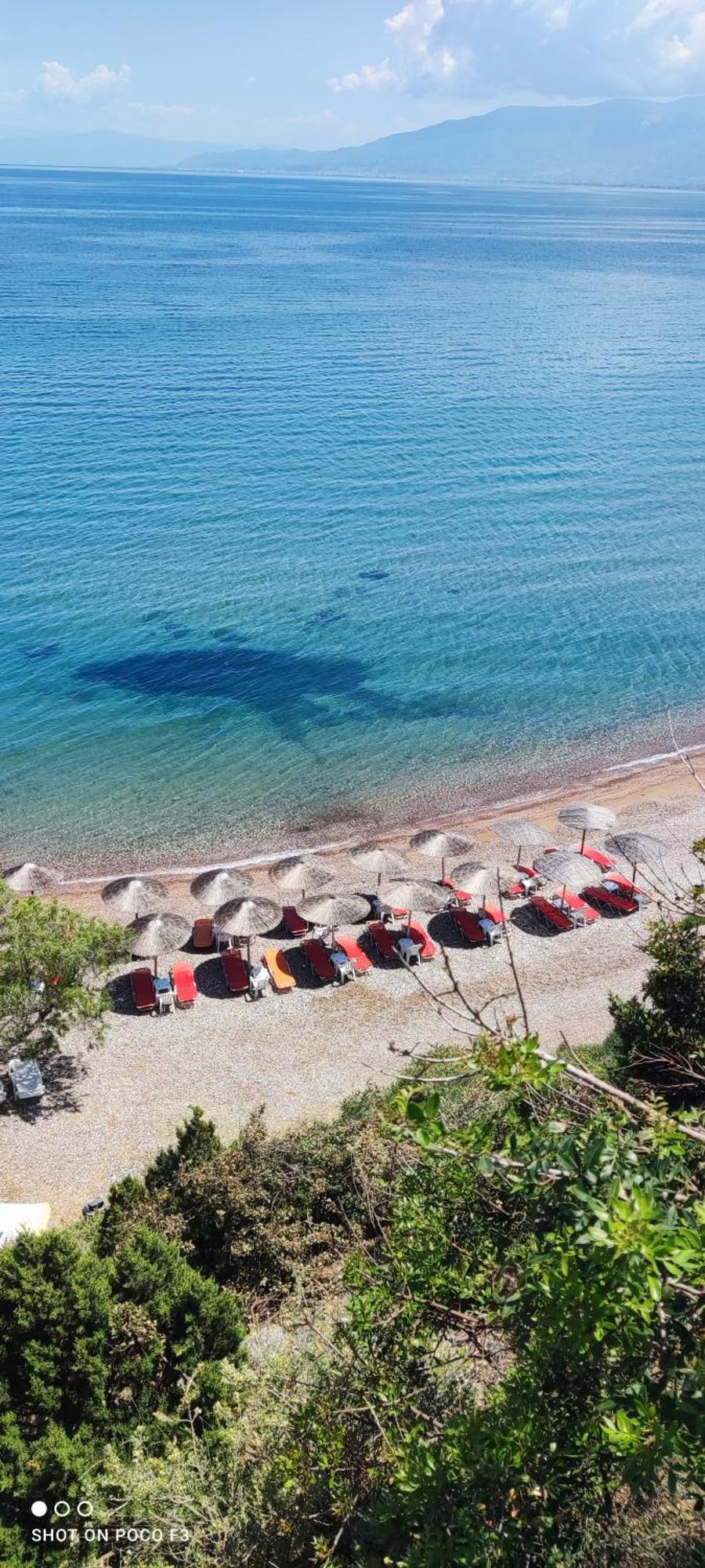 Koralli Sea View Hotel Káto Achaḯa Buitenkant foto